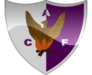 fenix fc logo png