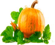 12 2 halloween pumpkin png clipart