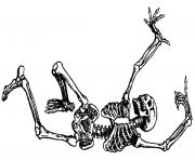 Free halloween skeleton clipart image