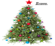 christmas tree png clipart