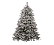 christmas tree png