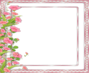 12 2 flowers borders png picture