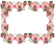 8 2 flowers borders transparent