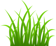 grass png cartoon