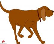 dog animal clipart