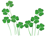 St Patricks Day Shamrocks Decor PNG Clipart