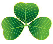 St Patricks Day Shamrocks PNG Clipart