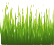 grass png 36