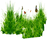 grass png 46 green