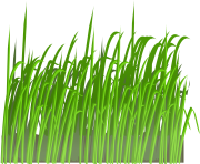 grass png 26