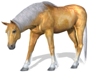 3d horse png 4