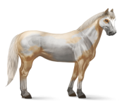 3d horse png 2