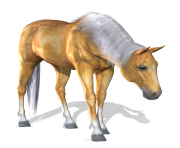 3d horse png 3