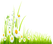 Spring Grass with Camomile PNG Clipart