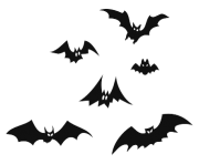 black bat png image 9