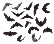 bats png img 15